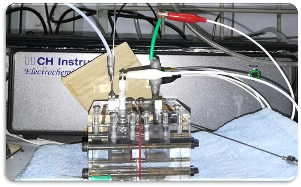 Electrochemical CO2 reduction setup Jawaharlal Nehru Centre for